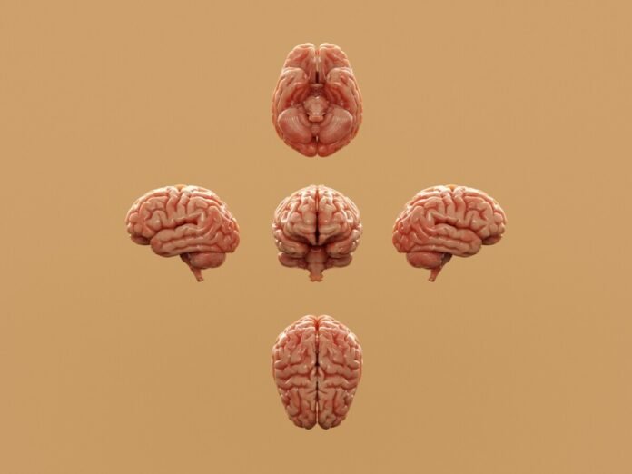 How to Lower Your Dementia Risk: 8 Everyday Habits That Protect Your Brain
